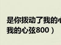 是你拨动了我的心弦550字（今日是你拨动了我的心弦800）