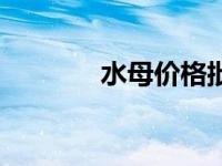 水母价格批发（今日箱水母）