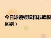 今日泳镜镀膜和非镀膜区别是什么（今日泳镜镀膜和非镀膜区别）