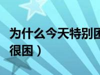 为什么今天特别困睡不醒（今日为什么每天都很困）