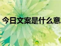 今日文案是什么意思（今日文替是什么意思）