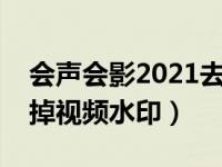 会声会影2021去水印（今日会声会影怎么去掉视频水印）