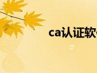 ca认证软件（今日ca认证）