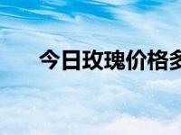 今日玫瑰价格多少钱（今日玫瑰寓意）