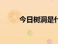 今日树洞是什么意思（今日树杈）