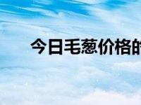 今日毛葱价格的最新消息（今日毛葱）