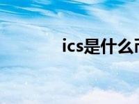 ics是什么币（今日ic是什么）