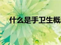 什么是手卫生概念（今日什么是手卫生）