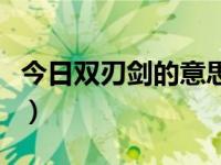 今日双刃剑的意思是什么（今日双刃剑的意思）