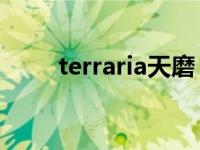 terraria天磨（今日泰拉瑞亚天磨）