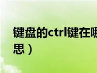 键盘的ctrl键在哪里（今日键盘ctrl是什么意思）