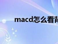 macd怎么看背驰（今日macd背驰）