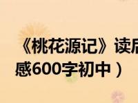 《桃花源记》读后感300（今日桃花源记读后感600字初中）