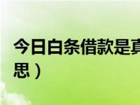 今日白条借款是真的吗（今日白名单是什么意思）