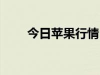 今日苹果行情（今日苹果种类大全）