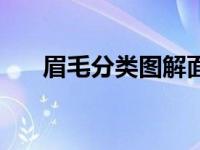 眉毛分类图解面相（今日眉毛的分类）