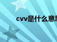 cvv是什么意思?（今日cvv是什么）