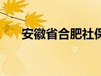 安徽省合肥社保（今日安徽合肥社保）