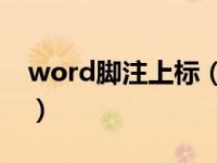 word脚注上标（今日word脚注11以上带圈）