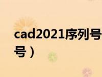 cad2021序列号是多少（今日cad2013序列号）