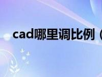 cad哪里调比例（今日cad如何调整比例）