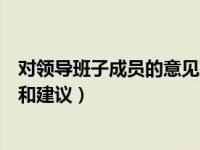 对领导班子成员的意见建议表（今日对领导班子成员的意见和建议）