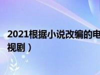 2021根据小说改编的电视剧有哪些（今日根据小说改编的电视剧）