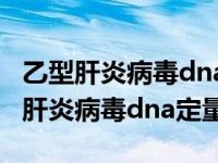 乙型肝炎病毒dna定量是什么意思（今日乙型肝炎病毒dna定量）