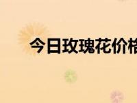 今日玫瑰花价格查询（今日玫瑰画法）