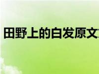 田野上的白发原文文章（今日田野上的白发）