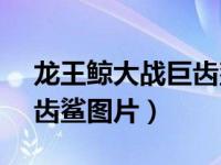 龙王鲸大战巨齿鲨谁会赢（今日龙王鲸vs巨齿鲨图片）