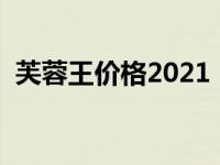 芙蓉王价格2021（今日芙蓉王多少钱一条）