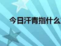 今日汗青指什么方向（今日汗青指什么）