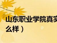 山东职业学院真实评价（今日山东职业学院怎么样）