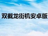 双截龙街机安卓版（今日双截龙街机电脑版）