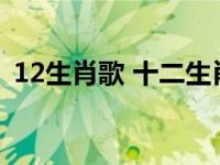 12生肖歌 十二生肖歌（今日十二生肖歌谣）