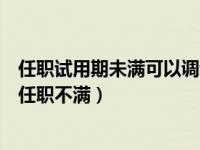 任职试用期未满可以调动吗（今日任职试用期未满或者提拔任职不满）