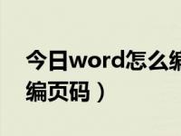 今日word怎么编页码数字（今日word怎么编页码）