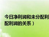 今日净利润和未分配利润的关系是什么（今日净利润和未分配利润的关系）