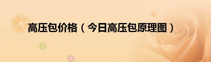 高压包价格（今日高压包原理图）