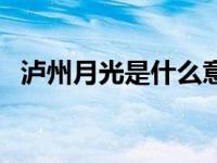 泸州月光是什么意思（今日泸州月光歌词）