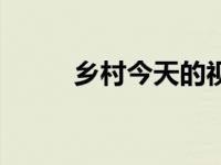 乡村今天的视频（今日乡村风月）