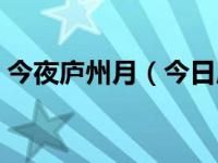 今夜庐州月（今日庐州月的歌词意思是什么）