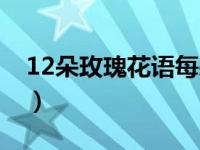 12朵玫瑰花语每朵代表什么（今日12朵玫瑰）