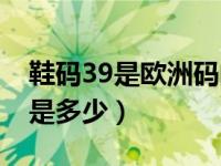 鞋码39是欧洲码的多大（今日39码的鞋欧码是多少）