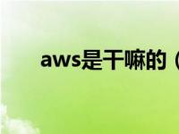 aws是干嘛的（今日aws是什么意思）