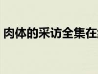 肉体的采访全集在线观看（今日肉体的采访）