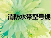 消防水带型号规格（今日消防水带规格）