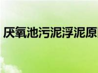 厌氧池污泥浮泥原因（今日厌氧池污泥上浮）