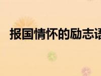 报国情怀的励志语（今日报国情怀的诗句）